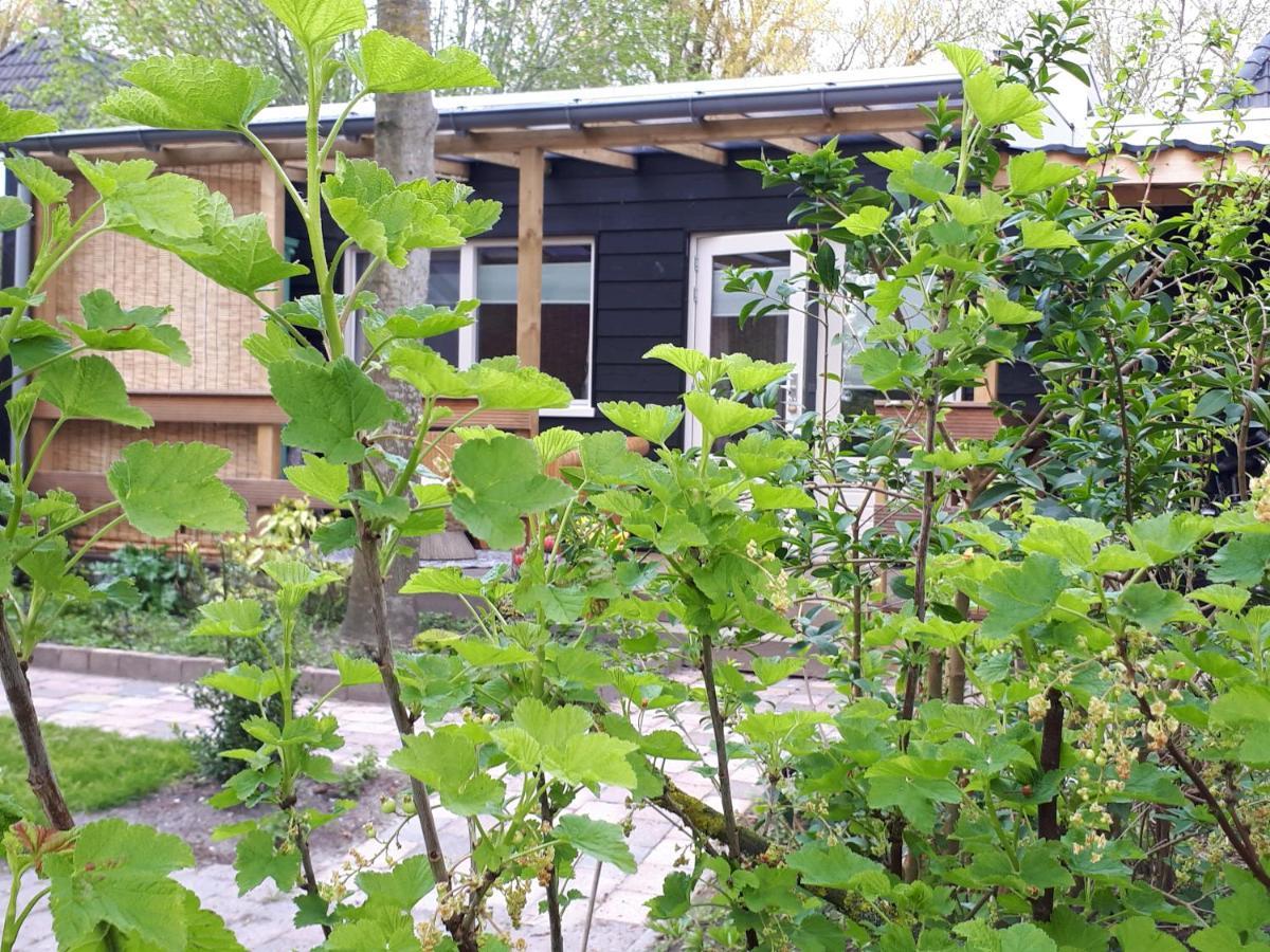 B&B Het Molensteegje Andijk Exterior foto